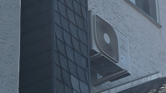 referenz-sankt-augustin-reh-2