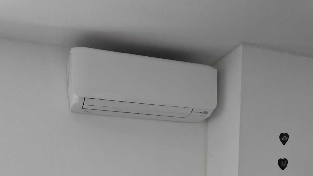 referenz-sankt-augustin-reh-3